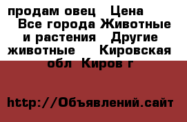  продам овец › Цена ­ 100 - Все города Животные и растения » Другие животные   . Кировская обл.,Киров г.